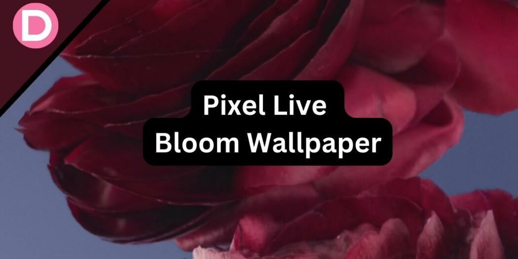 Download Google Pixel Live Bloom Wallpapers