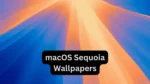 macOS Sequoia Wallpapers High Resolution